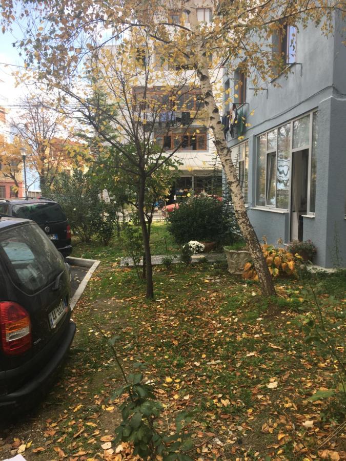 Rinia In Apartament
